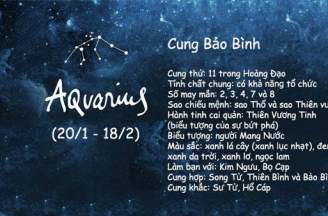 Cung Bảo Bình nữ hợp với cung nào nhất, bạn đã biết?