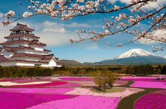 TƯ VẤN QUY TRÌNH ĐI DU HỌC NHẬT BẢN NĂM 2022